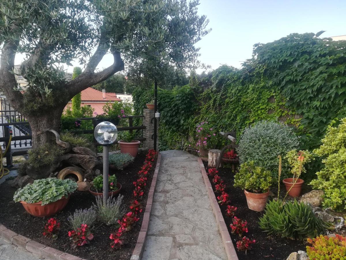 B&B Polline & Conchiglie Ceriale Εξωτερικό φωτογραφία