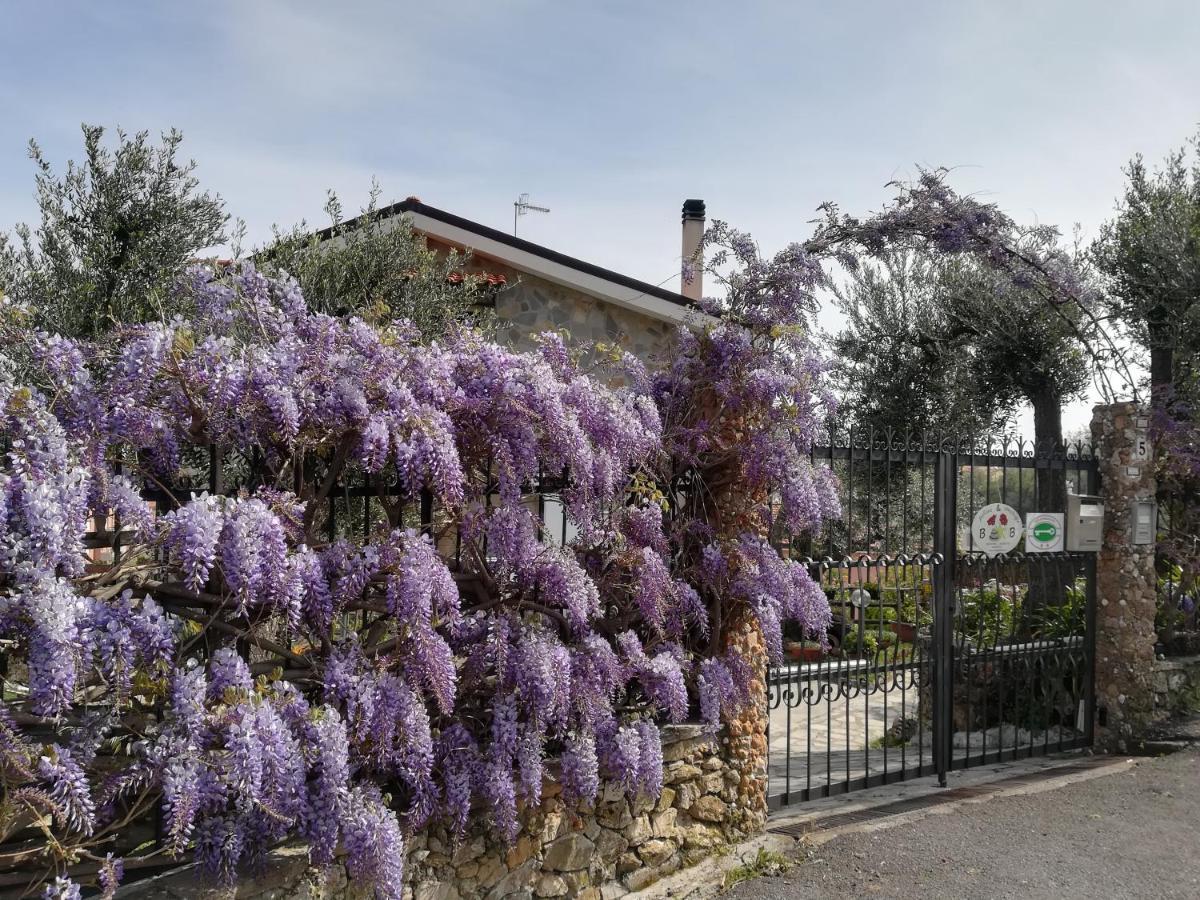 B&B Polline & Conchiglie Ceriale Εξωτερικό φωτογραφία