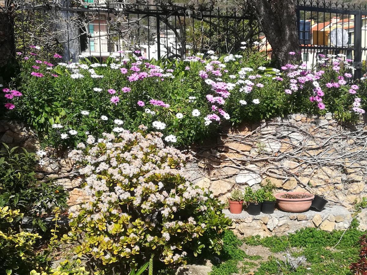 B&B Polline & Conchiglie Ceriale Εξωτερικό φωτογραφία
