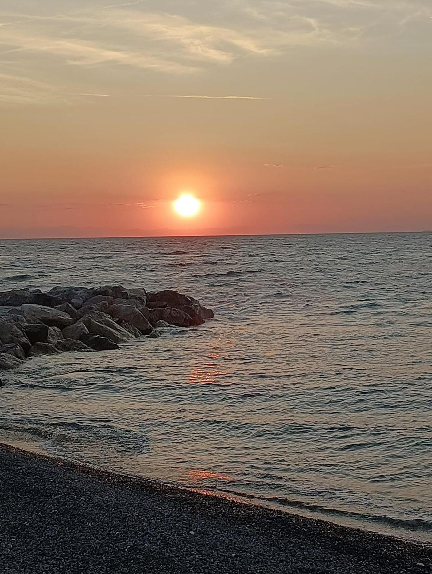 B&B Polline & Conchiglie Ceriale Εξωτερικό φωτογραφία